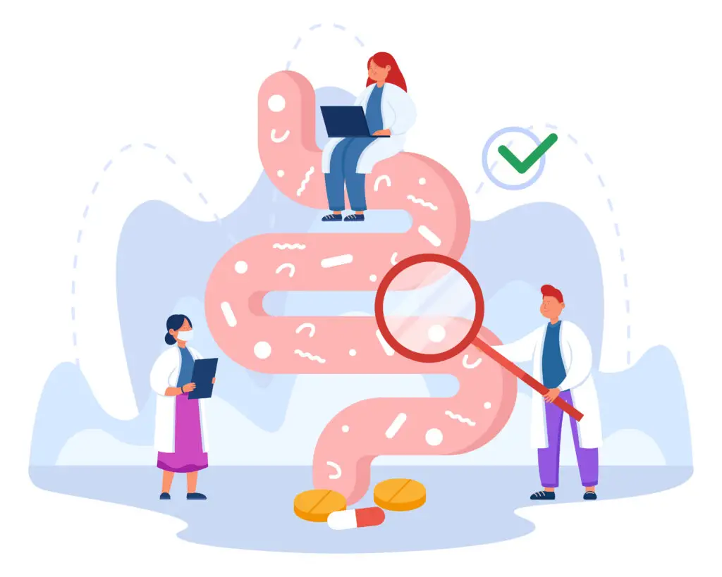 Infographic showing the gut hormone connection and how it affects mood, energy, and metabolism.
